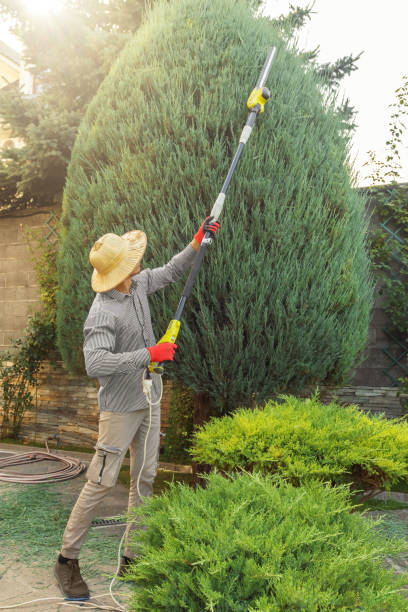 Best Lawn Watering Services  in Leander, TX